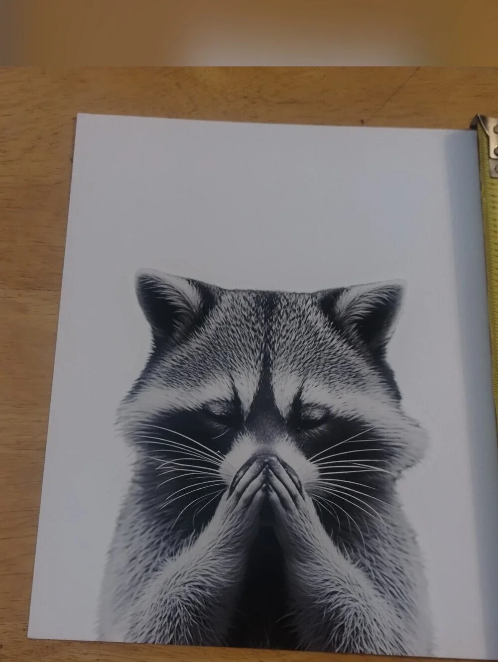 Meditating Raccoon Wall Art Print Zen Animal Decor 8x10
